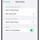 iOS search bar
